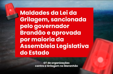 Fetaema repudia lei que fomenta e premia a grilagem no Maranhão